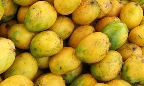 Beneficios para la salud del mango
